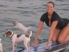 娱乐吃瓜君狗狗